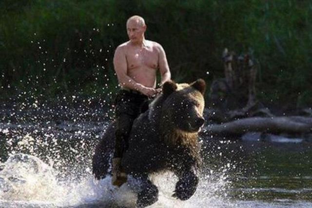 俄罗斯宠物熊俄罗斯宠物熊吃人