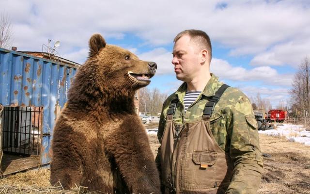 俄罗斯宠物熊俄罗斯宠物熊吃人-第7张图片-太平洋在线