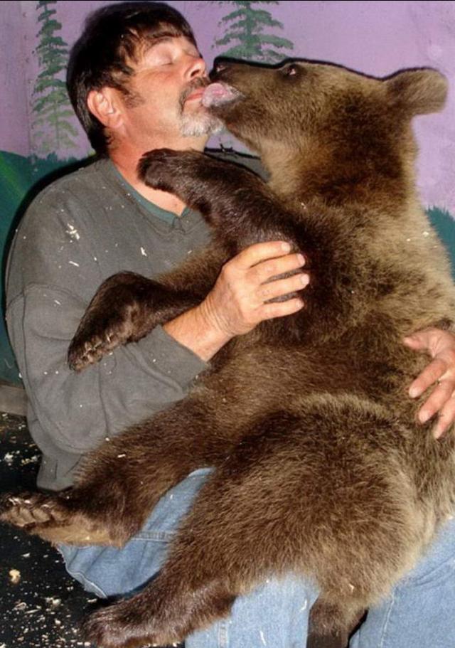俄罗斯宠物熊俄罗斯宠物熊吃人-第8张图片-太平洋在线