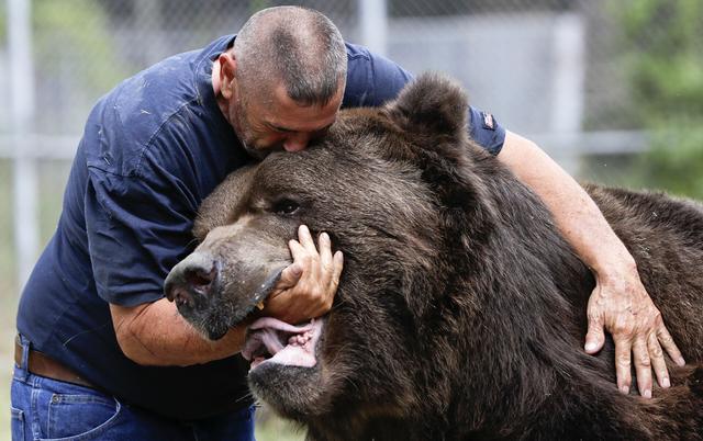 俄罗斯宠物熊俄罗斯宠物熊吃人-第16张图片-太平洋在线