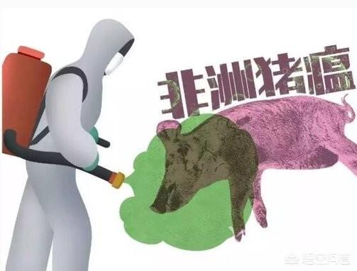 湖南省再次发生非洲猪瘟疫情，这是时隔一个月后的首次疫情，对此你怎么看？:湖南新闻