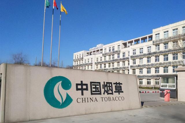 今日热搜中国烟草百度热搜中国烟草资讯网-第10张图片-太平洋在线
