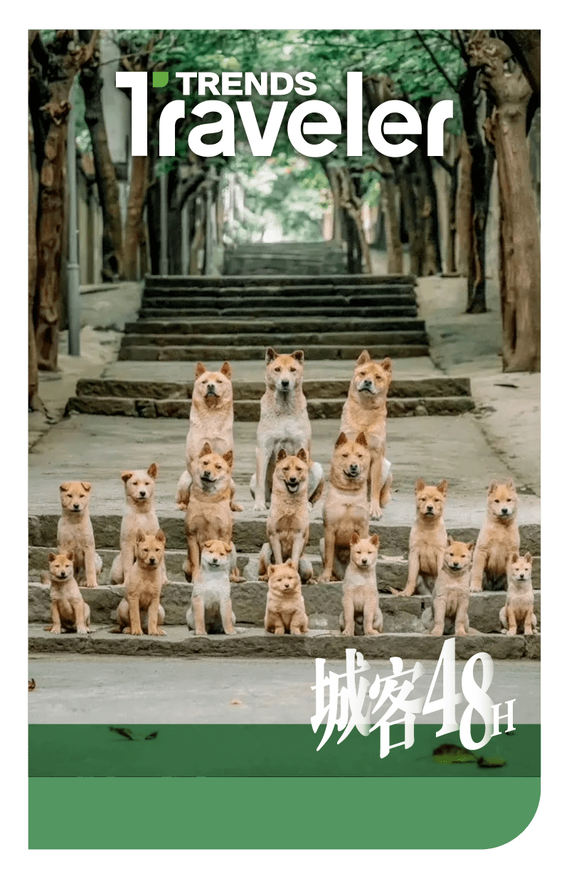 小苹果版地理歌:《忠犬八公》山城重庆的爱与别离-第1张图片-太平洋在线