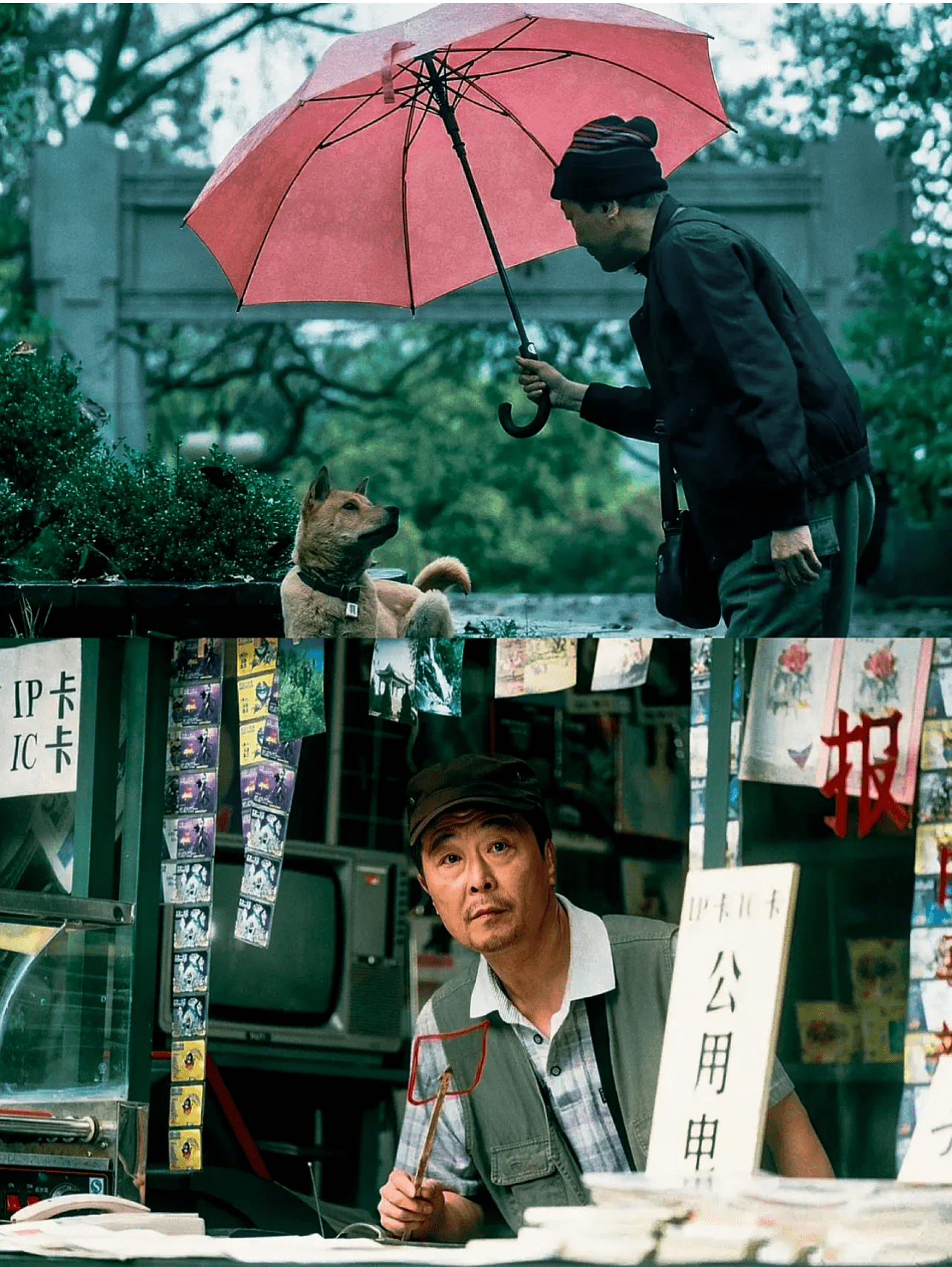 小苹果版地理歌:《忠犬八公》山城重庆的爱与别离-第9张图片-太平洋在线