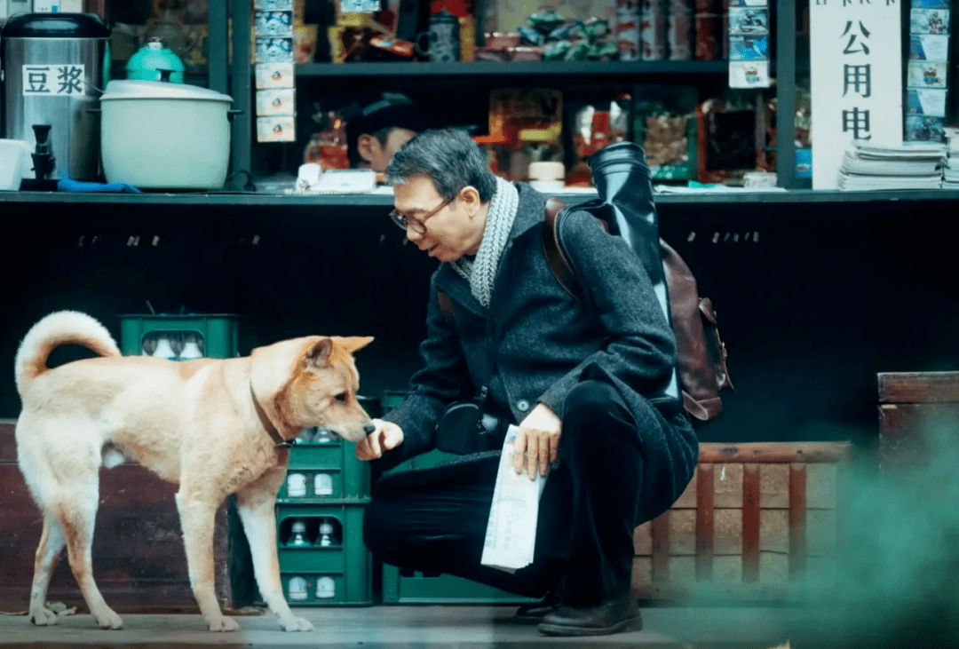 小苹果版地理歌:《忠犬八公》山城重庆的爱与别离-第10张图片-太平洋在线