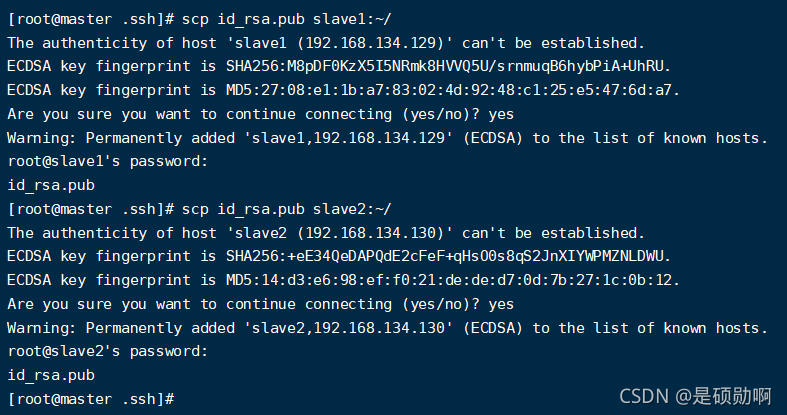 linuxssh客户端登录192168101直接登录-第1张图片-太平洋在线下载