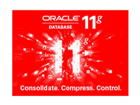 oracle网页版客户端oracle11g客户端安装-第2张图片-太平洋在线下载