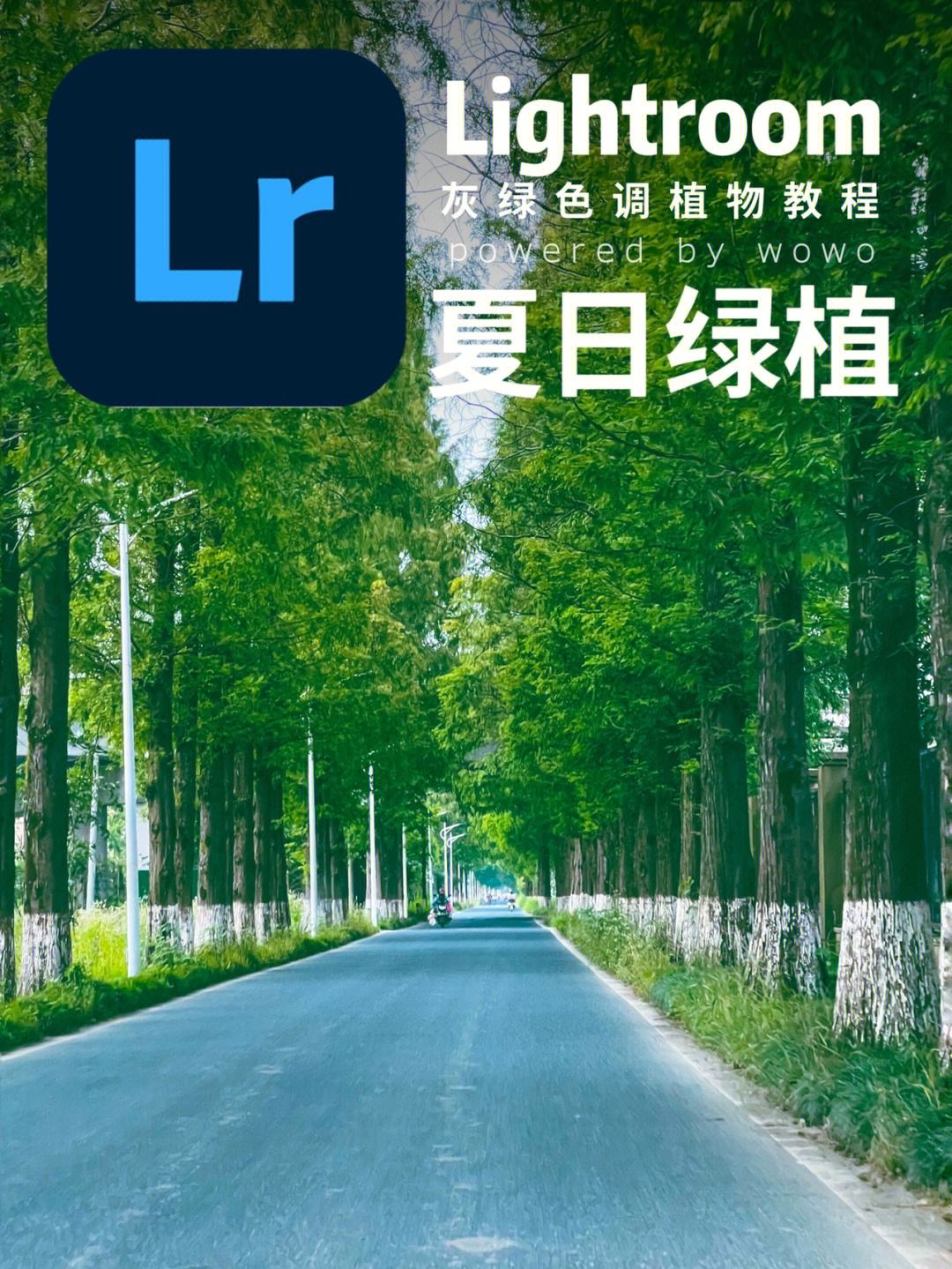 lightroom专业版安卓版lightroom官方下载安卓版-第2张图片-太平洋在线下载