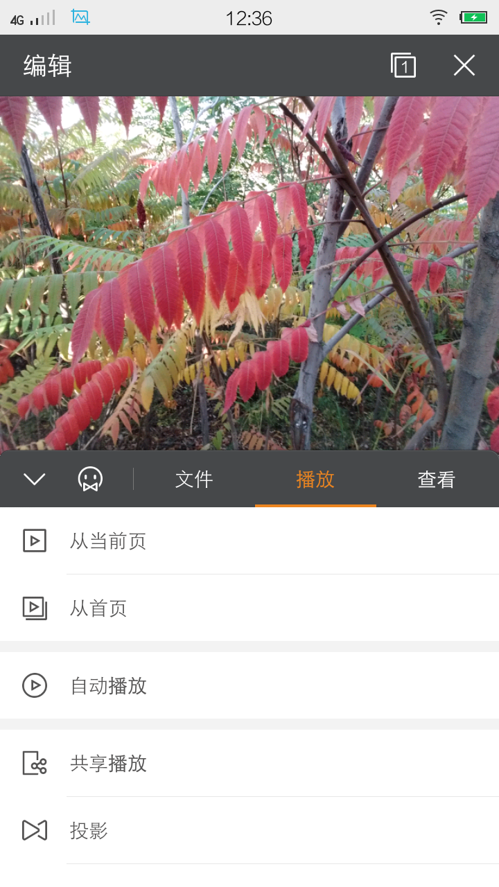 苹果手机版wpswps苹果电脑版下载官网-第2张图片-太平洋在线下载