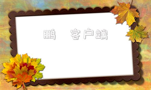 鹏垚客户端鹏淘官方网站