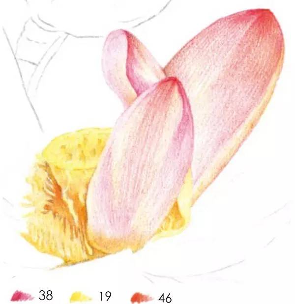 描画教程苹果版苹果版play商店官网-第2张图片-太平洋在线下载