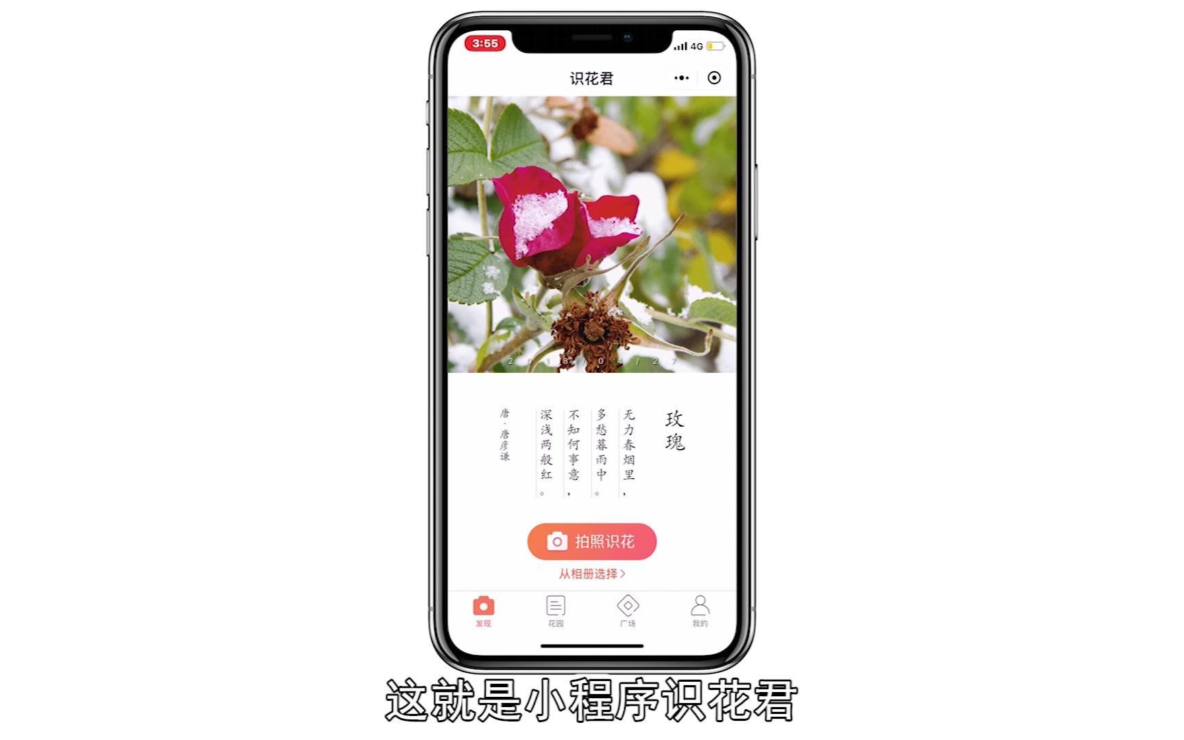 植物达人苹果版下载植物大战僵尸1老版本